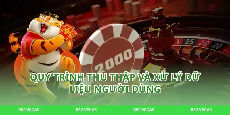 Quy trình thu thập và xử lý dữ liệu người dùng
